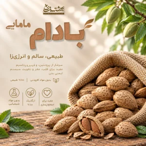 بادام سنگی مامایی