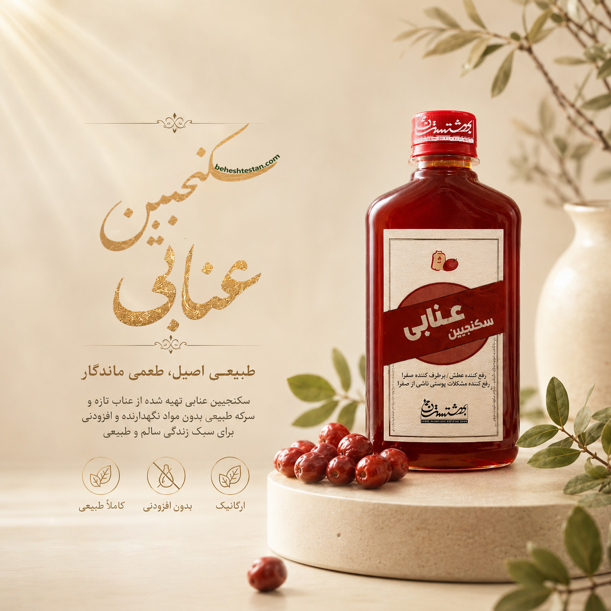 jujube-skanjbein-beheshtesten-1 سکنجبین عنابی - Image 1
