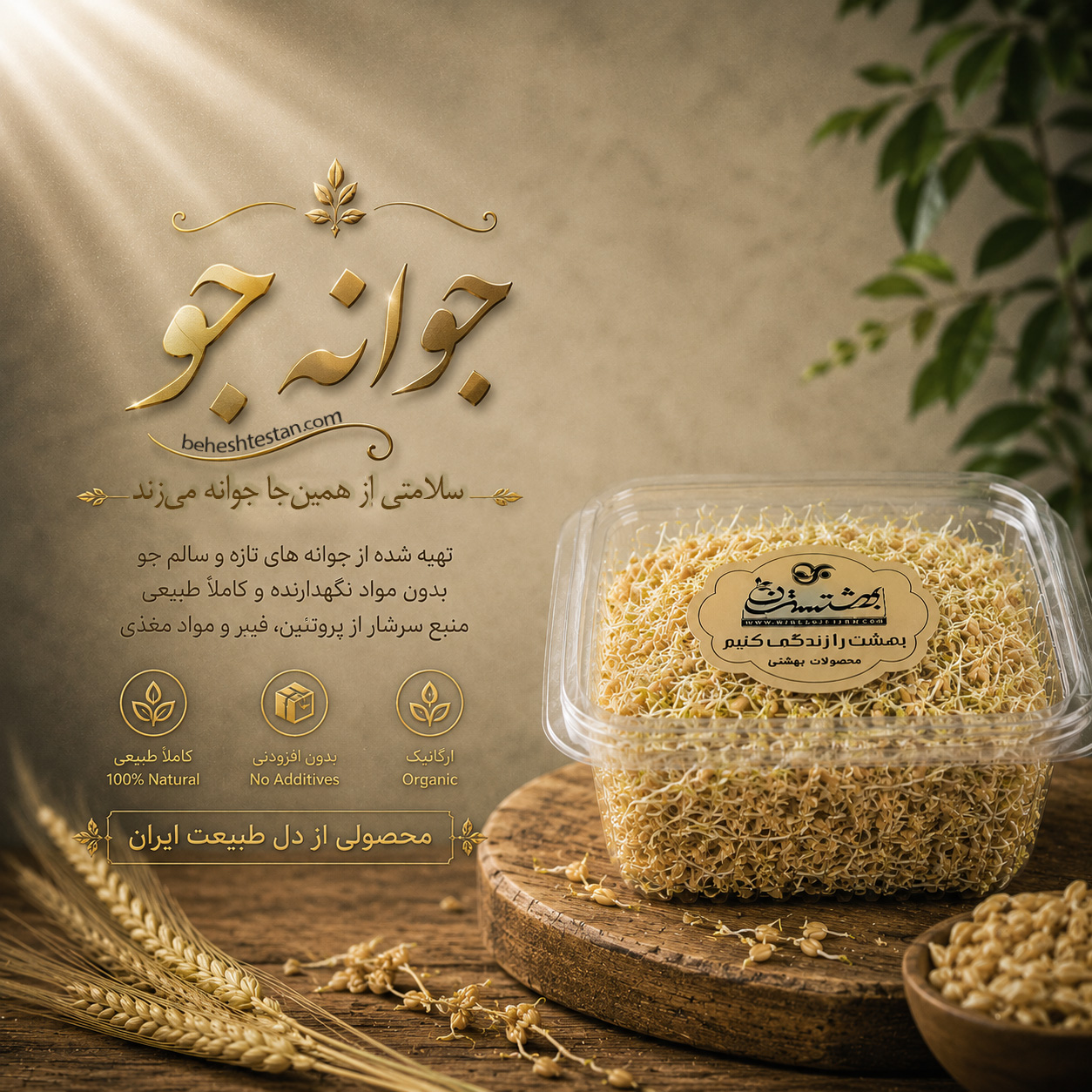 barley-sprouts-beheshtestan1 جوانه جو - Image 1