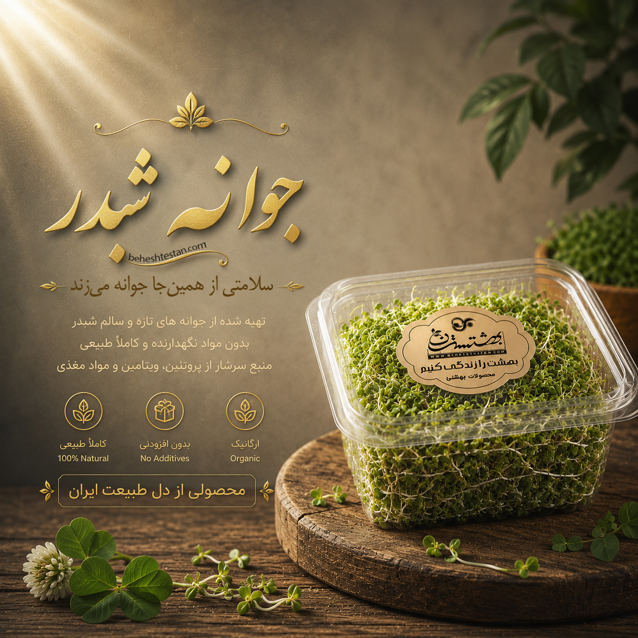 clover-bud-beheshtestan1 جوانه شبدر - Image 1