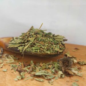 گاوزبان سبز بهشت