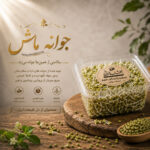 جوانه ماش