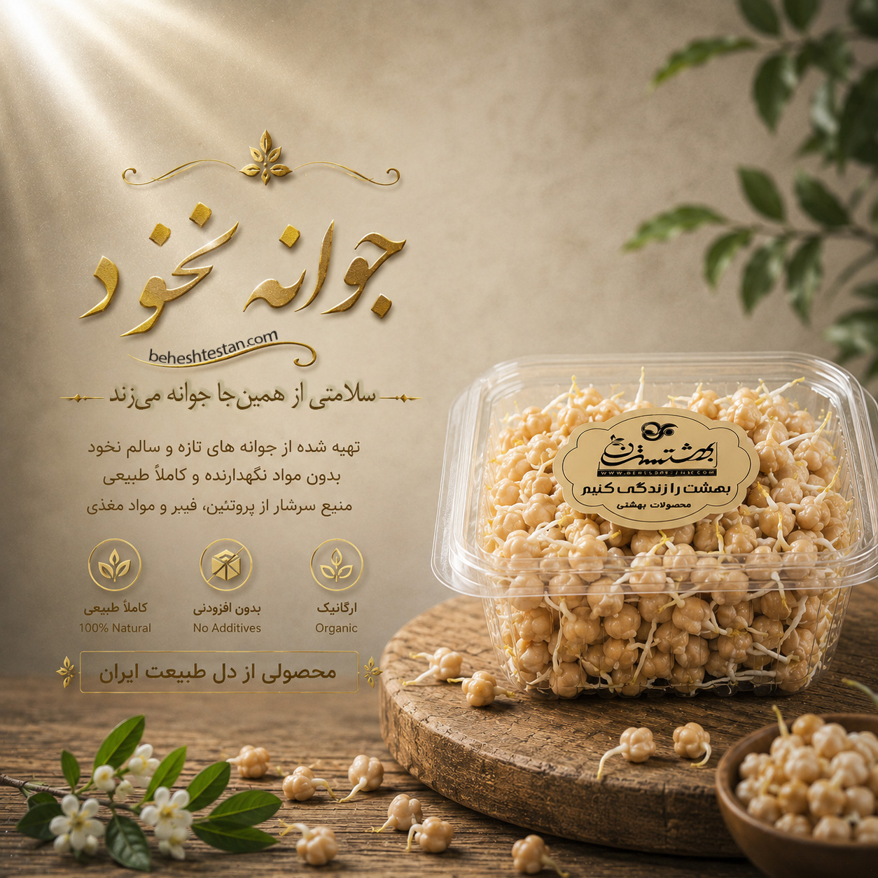 pea-sprouts-beheshtestan جوانه نخود - Image 1