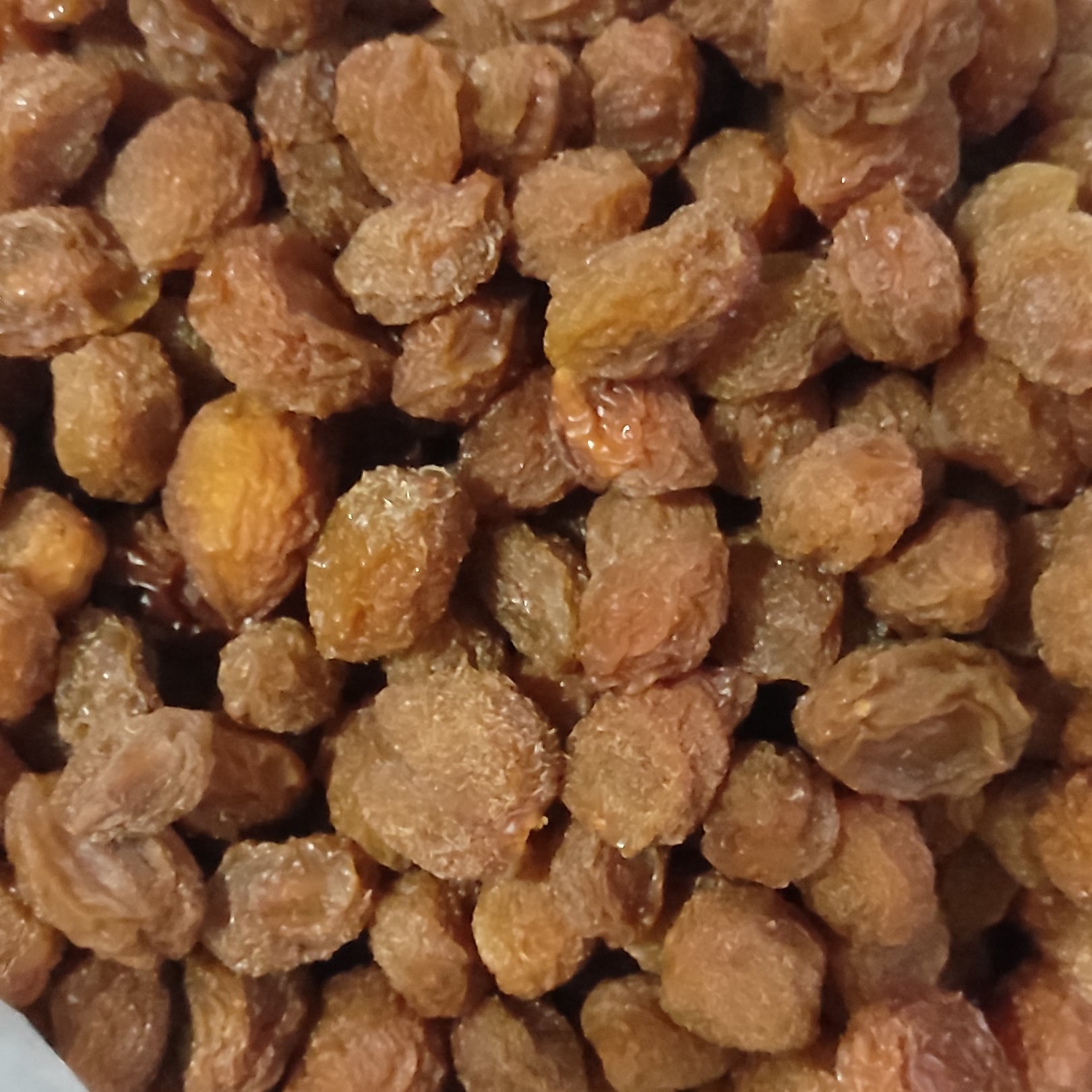 C016iertPjVi83S_ آلو خوانساری - Image 1