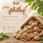 بادام سنگی مامایی